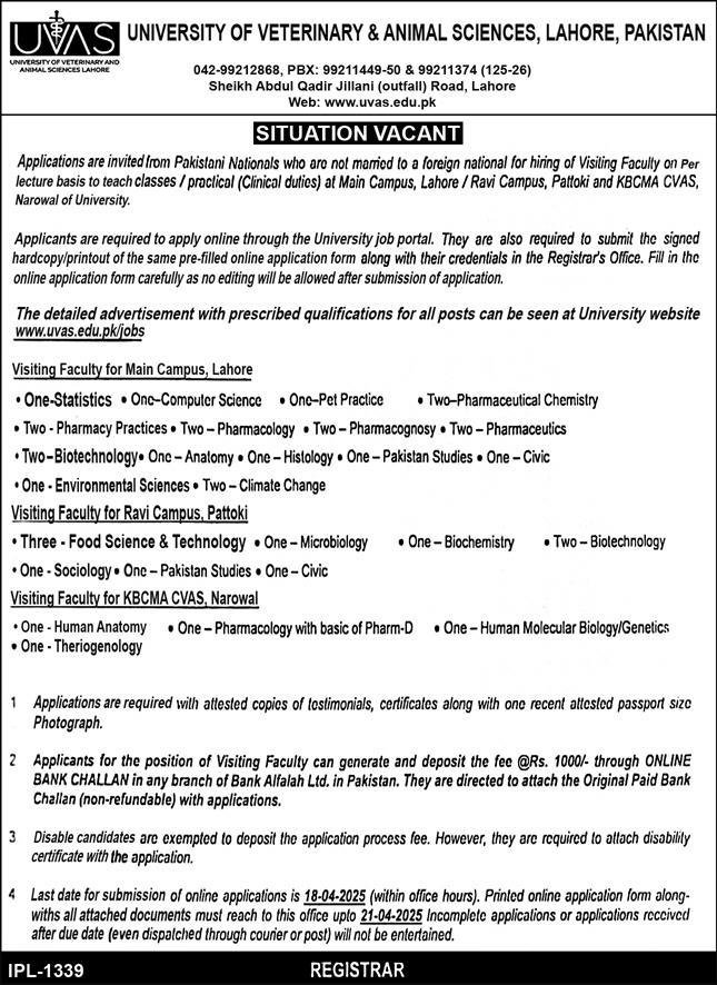 Visiting Faculty (Various Disciplines) – UVAS Jobs 2025