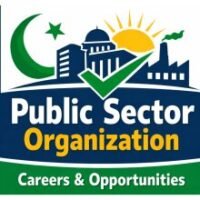 Public Sector Organization