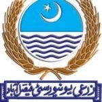 University of Agriculture Faisalabad