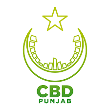 HOME CENTRAL BUSINESS DISTRICT PUNJAB visual data 2