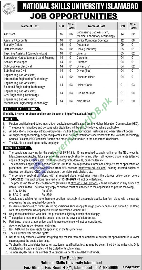 Assistant And Security Officer Jobs In NSU Islamabad 2023