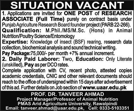 PMAS Arid Agriculture University Rawalpindi Jobs 2023
