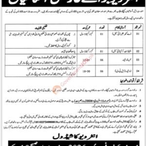 Intern/Out-Duty (Non-Scale) Job Advertisement