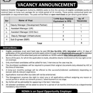 Deputy Manager (Development Partner) Job Advertisement