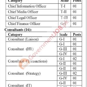 Chief Media Officer Job Advertisement