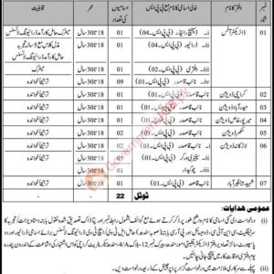Daftari (BPS-02) Job Advertisement