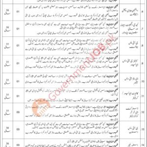 Senior GIS Developer Job Advertisement