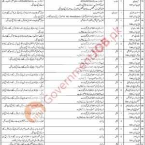 Computer Assistant (Female) Job Advertisement