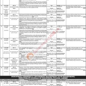 Senior Auditor Job Advertisement