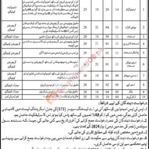 Planning Assistant Job Advertisement