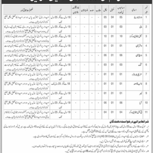 Ward Boy Job Advertisement