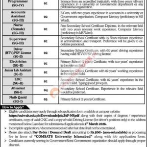 Programmer (SG-IV) Job Advertisement