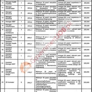 Manager (Electrical) Job Advertisement