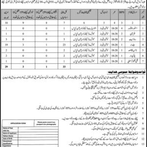 Assistant Computer Operator Job Advertisement