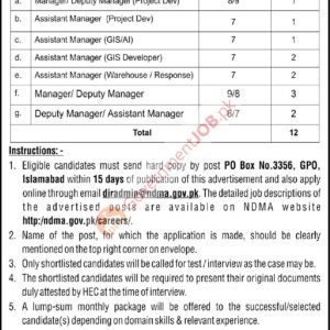 Manager / Deputy Manager Job Advertisement