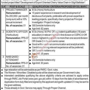 Naib Qasid / Attendant Job Advertisement