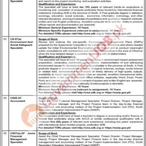 Junior Financial Management Specialist Job Advertisement