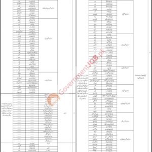 Female Community Health Worker (CHW) Job Advertisement