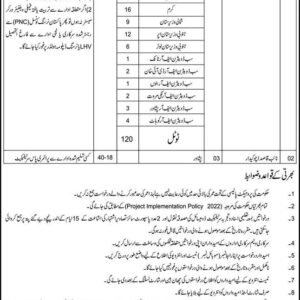 Family Welfare Worker (Female) Job Advertisement