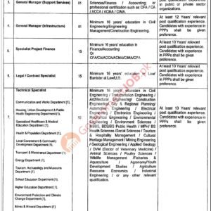 Chief Legal Officer Job Advertisement