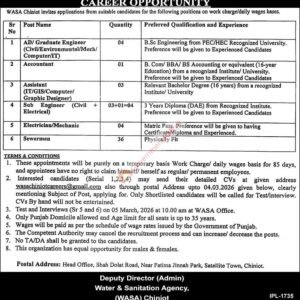 Assistant IT Job Advertisement