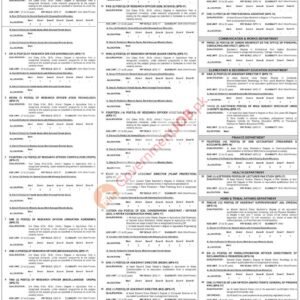 Professional Assistant Job Advertisement