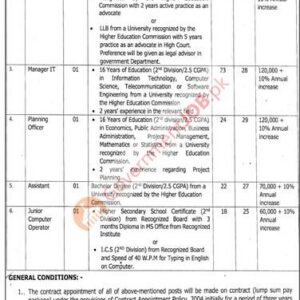 Media Coordinator Job Advertisement