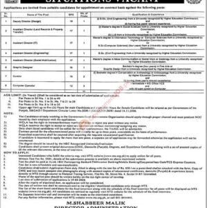 Assistant Director (Engineering) Job Advertisement