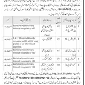 Chief Inspector (B-16) Job Advertisement