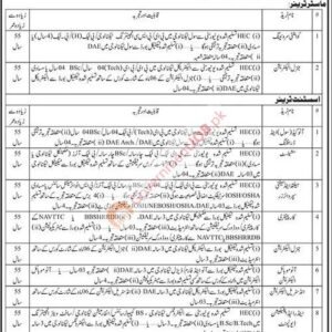 Assistant Trainer (Carpentry) Job Advertisement