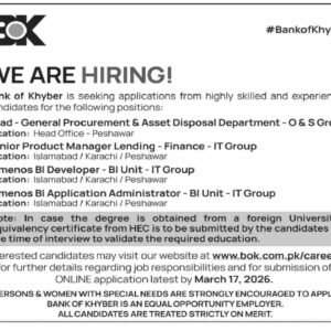 Temenos BI Developer - BI Unit - IT Group Job Advertisement