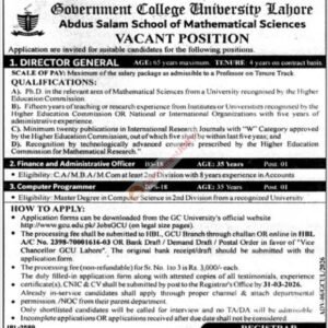 Computer Programmer Job Advertisement