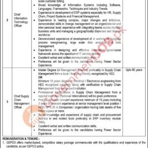 Chief Information Technology Officer Job Advertisement