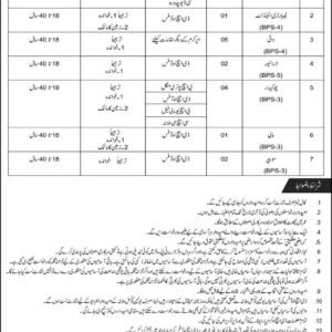Chowkidar (BPS-3) Job Advertisement