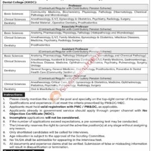 Associate Professor (Pharmacology) Job Advertisement