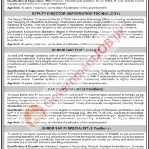 Deputy Director (Information Technology) Job Advertisement