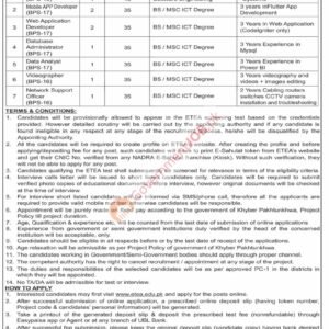 Web Application Developer Job Advertisement