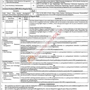 Professor (Computer Science) Job Advertisement