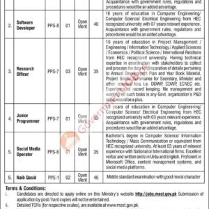 Assistant Chief Job Advertisement