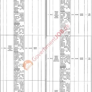 Assistant Director (Penetration Testing & Red Teaming) Job Advertisement