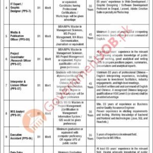 System Analyst Job Advertisement