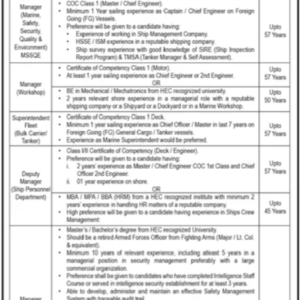 Security) Job Advertisement