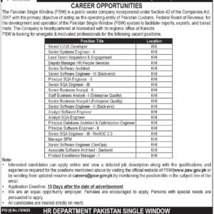 Senior UI/UX Developer Job Advertisement