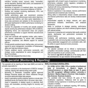 Team Lead (Monitoring & Reporting) Job Advertisement