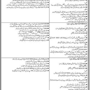 Junior SAP FI Specialist Job Advertisement