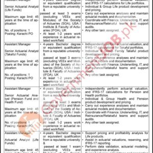 Assistant Manager – Senior Actuarial Analyst (Pension Fund) Job Advertisement