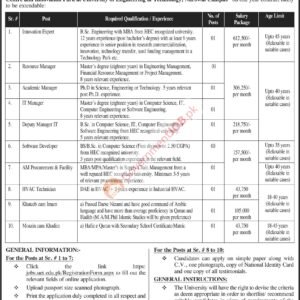 Software Developer Job Advertisement