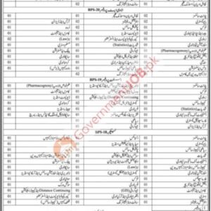 Professor (BPS-21) – Information Technology Job Advertisement