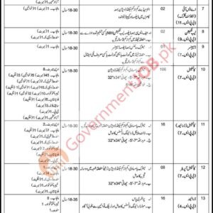 Constable (BPS-07) Job Advertisement