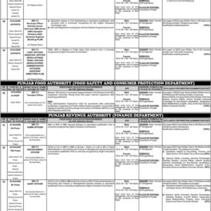 Audit Officer Job Advertisement